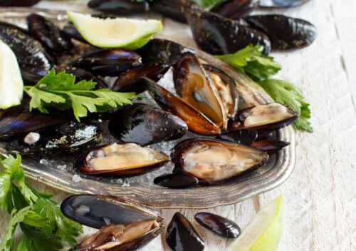 Fresh raw mussels