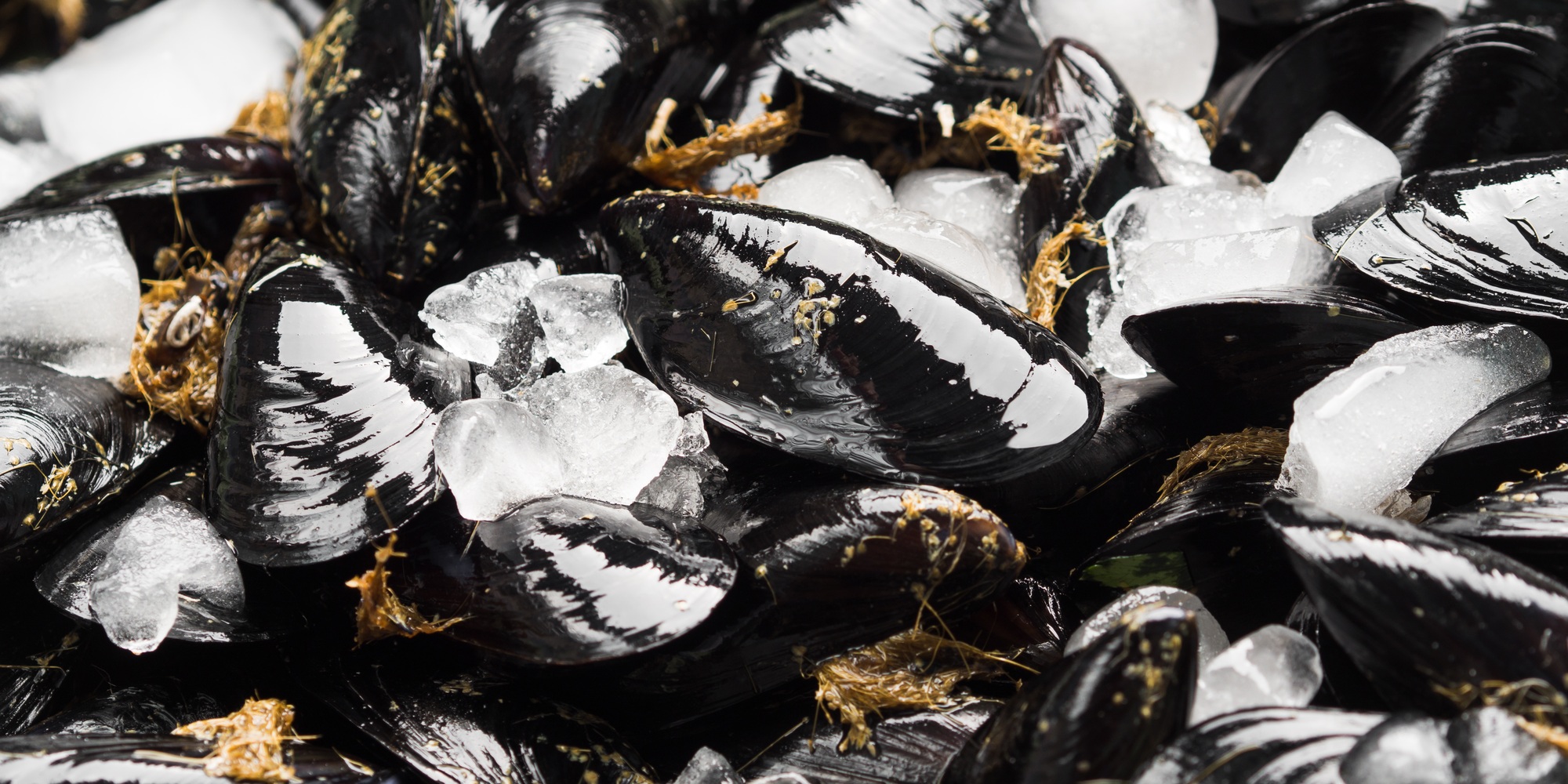 Fresh raw mussels on rusty tray