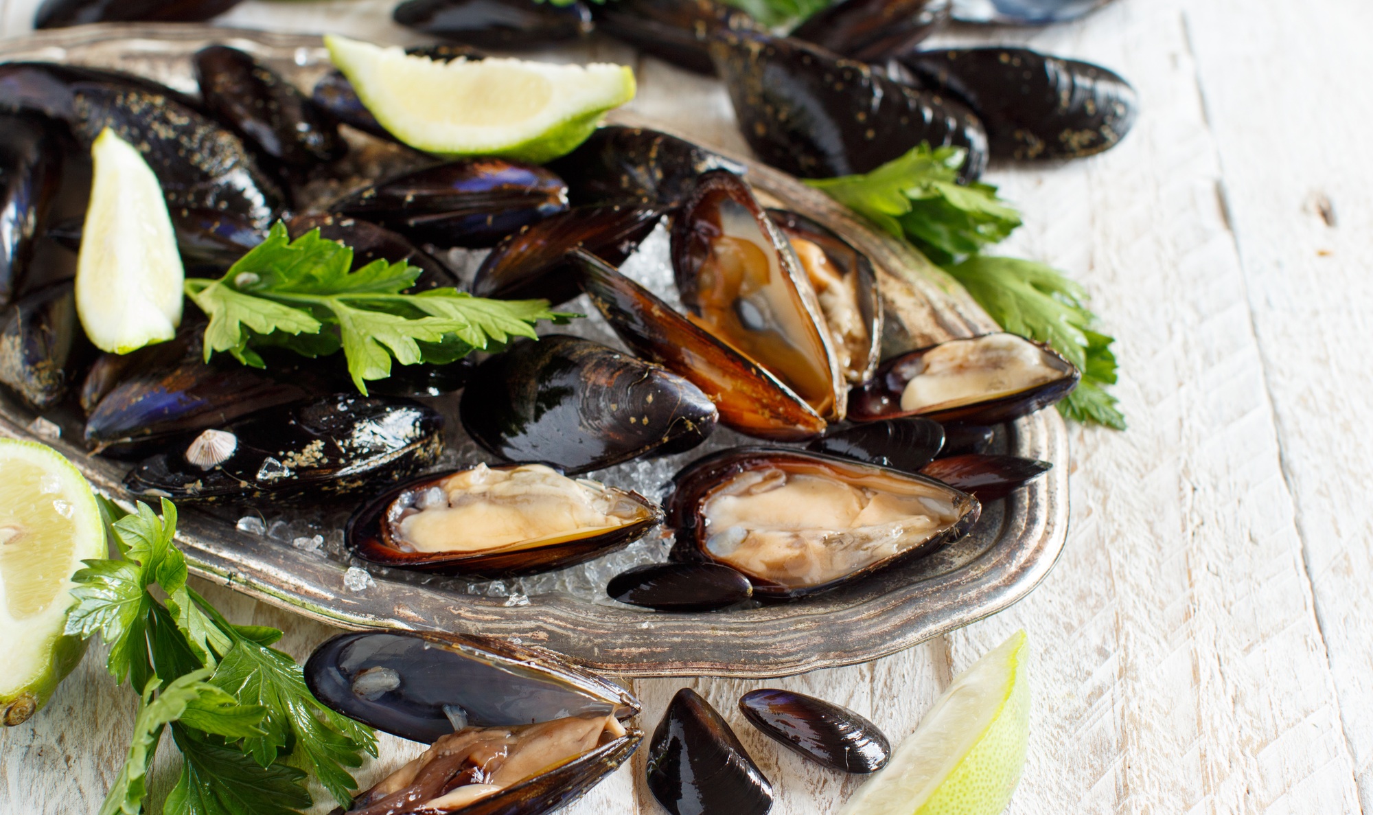 Fresh raw mussels