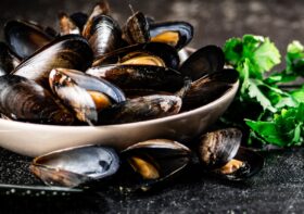 Pourquoi la saison des moules en Normandie est un incontournable pour les gourmets