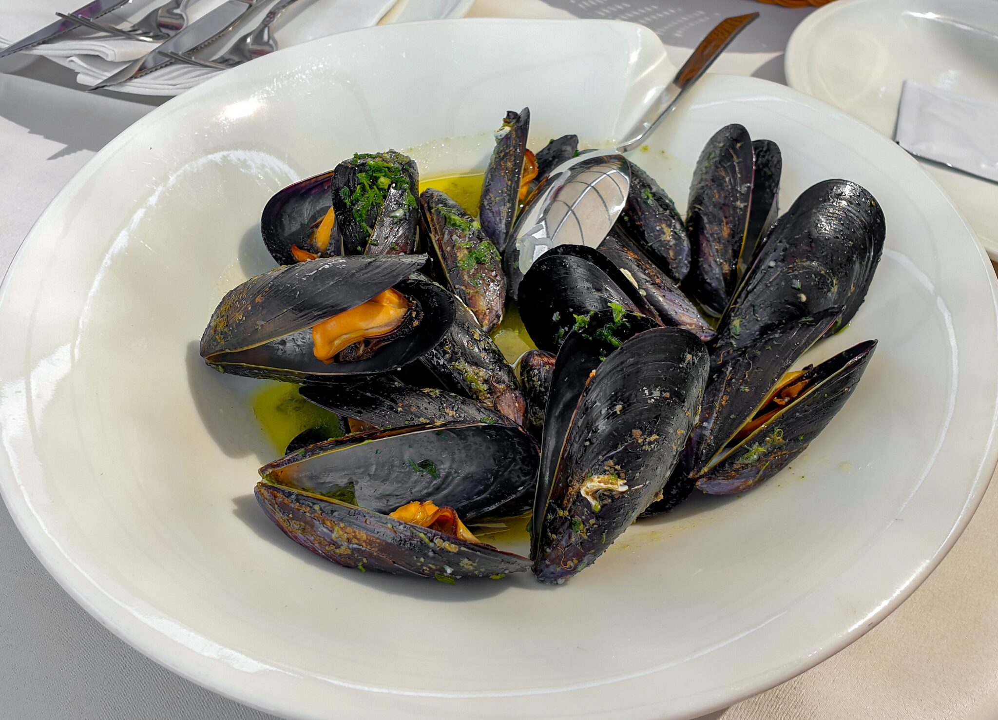 réchauffer des moules