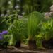 explorez notre liste complète des plantes en v et découvrez leurs caractéristiques uniques pour embellir votre jardin et votre intérieur.