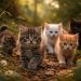 découvrez un documentaire captivant sur les chatons et plongez dans l'univers fascinant des félins, entre douceur et aventure.